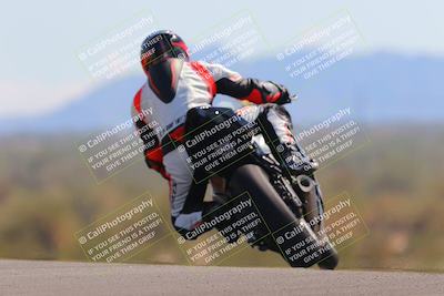 media/Oct-09-2022-SoCal Trackdays (Sun) [[95640aeeb6]]/Turn 9 Backside (120pm)/